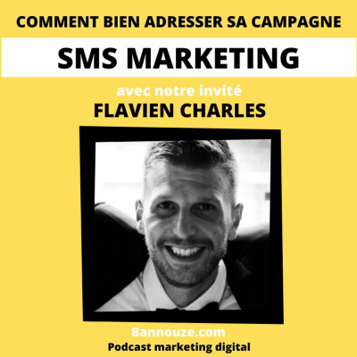 #51 : Mobile > Comment bien adresser sa campagne de SMS Marketing ? 2 sms marketing