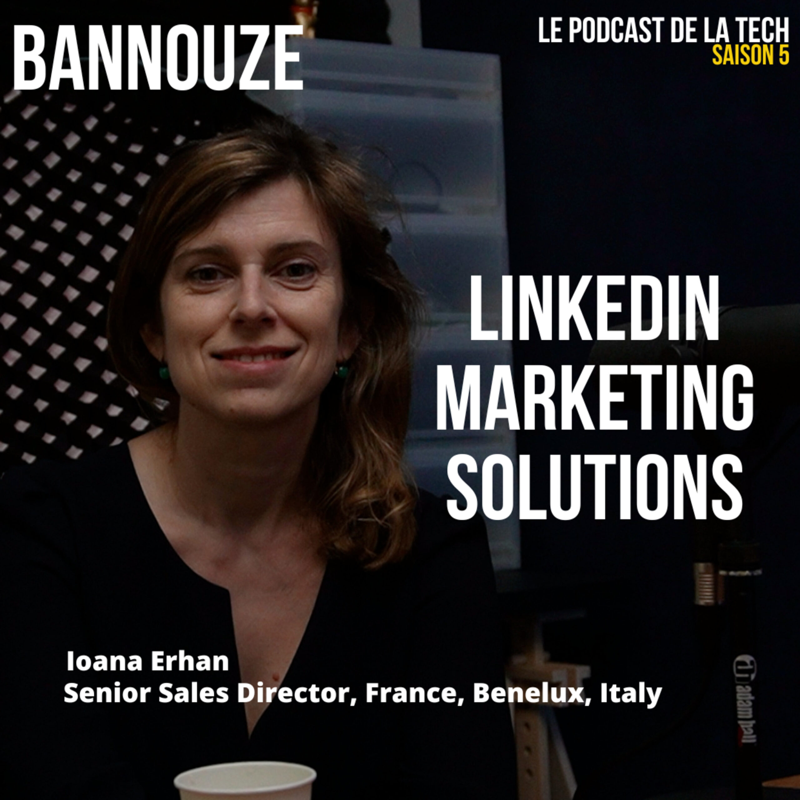 Logo de l'épisode #100 > Linkedin > Rencontre avec Ioana Erhan, Senior Sales Director LinkedIn Marketing Solutions du podcast Bannouze : Le podcast du marketing digital !
