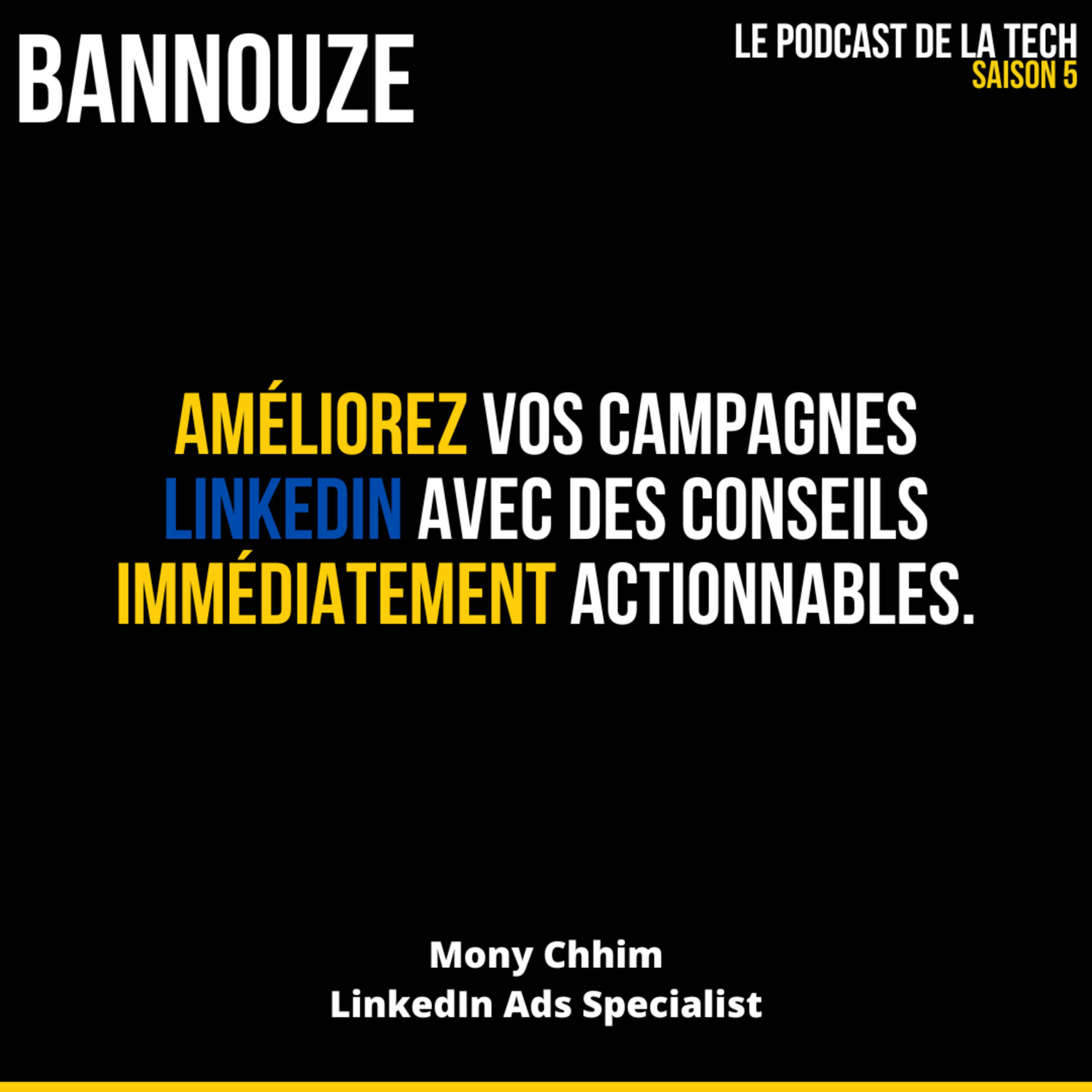 Logo de l'épisode #104 > Linkedin > Optimisez vos campagnes Linkedin Ads du podcast Bannouze : Le podcast du marketing digital !