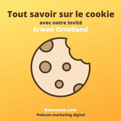 #29 : Tout savoir sur le cookie avec Erwan Ortolland 2 Logo de l'épisode #29 : Tout savoir sur le cookie avec Erwan Ortolland du podcast Bannouze : Le podcast du marketing digital !