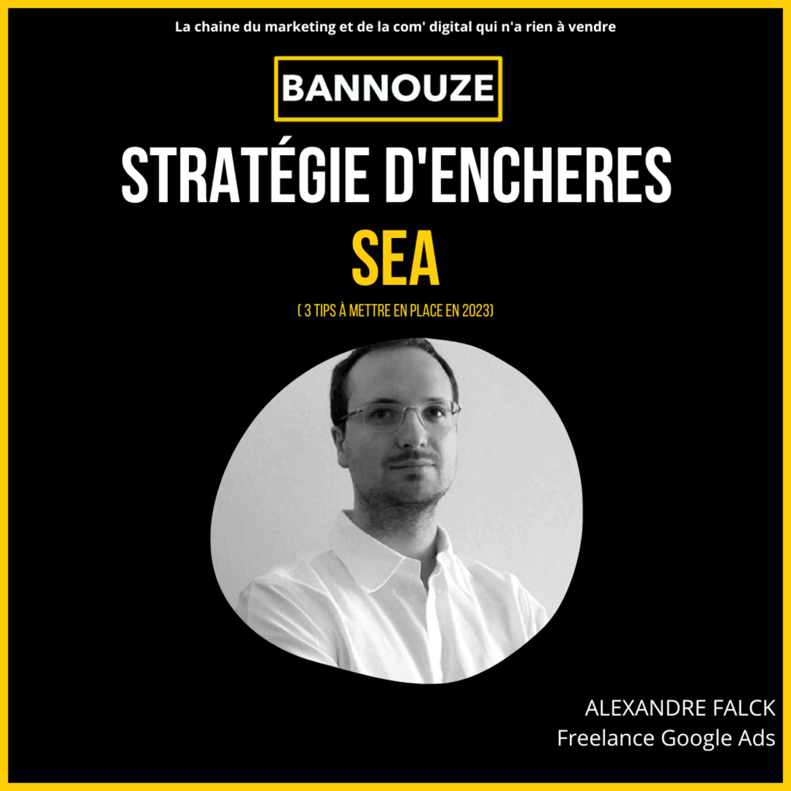 Logo de l'épisode #80 : SEA : Mettre en place une stratégie d'enchère efficace du podcast Bannouze : Le podcast du marketing digital !